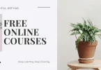 free online courses for beginners
